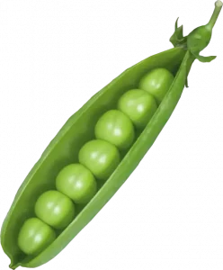are peas keto friendly? are peas keto friendly?