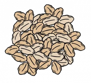 is oats keto friendly? is oats keto friendly?
